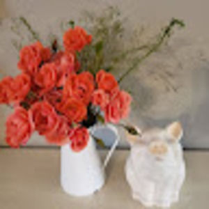 Meet your Posher, Jessie